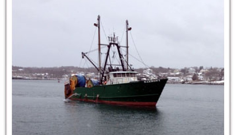 boat in harbor